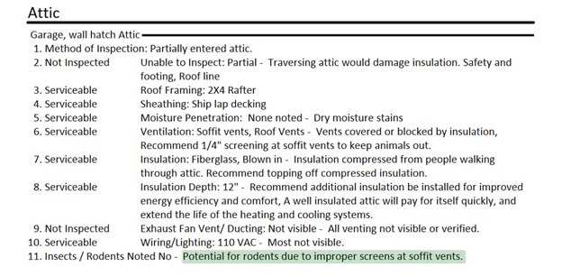 Attic Inspection