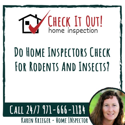 check-it-out-home-inspections_Do Home Inspectors Check For Rodents And Insects